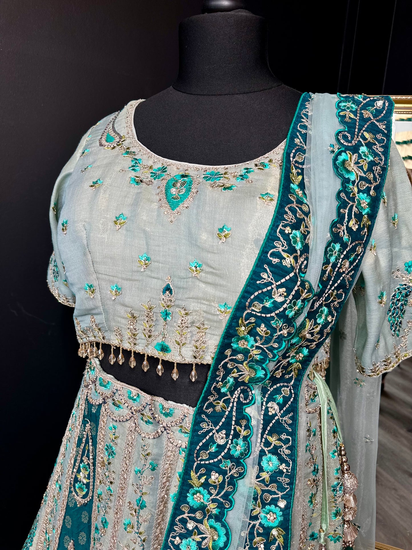 Tashan lehenga curvy & normal