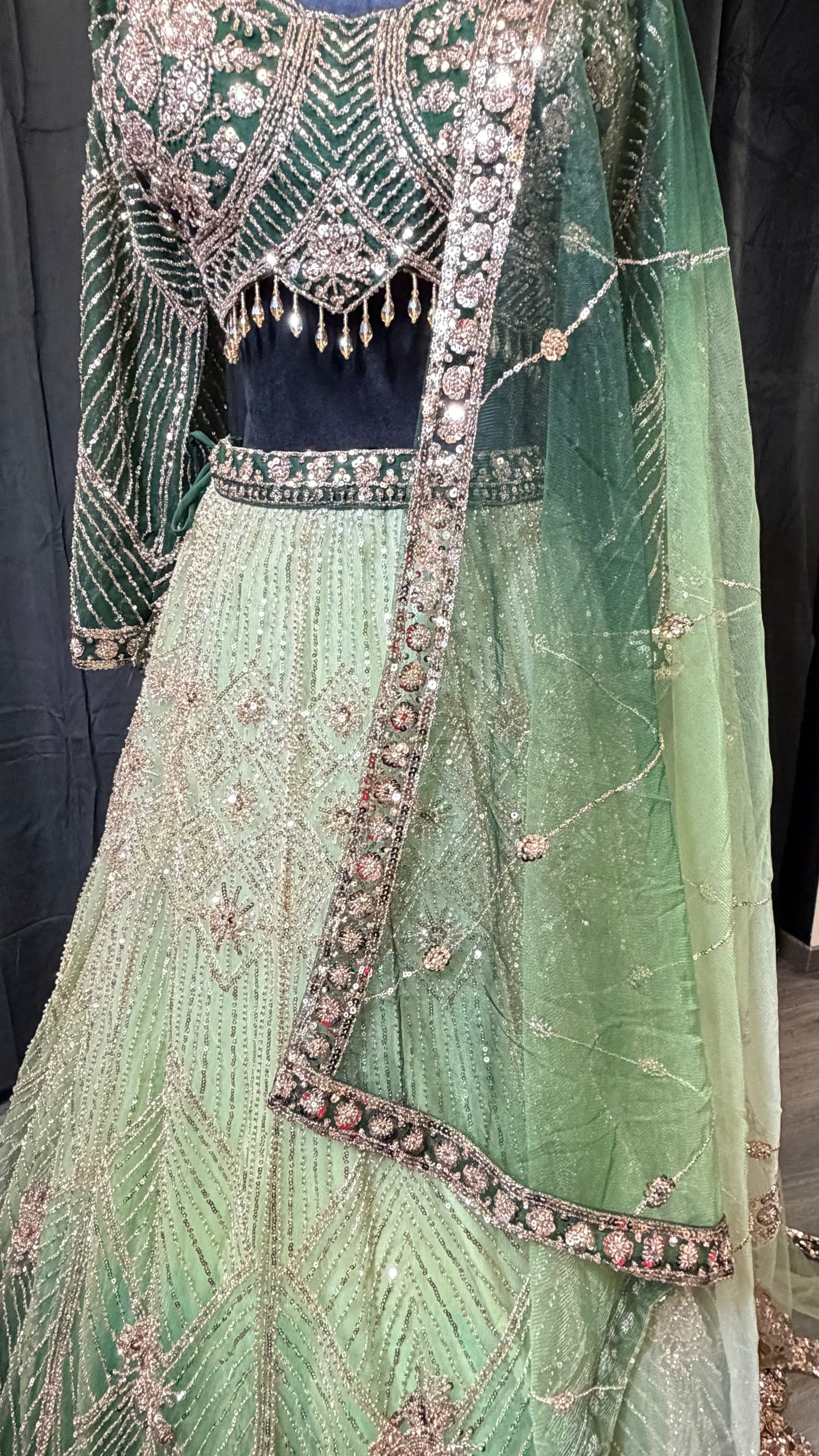 Groene Ombre Party Wear Lehenga met Luxe Details