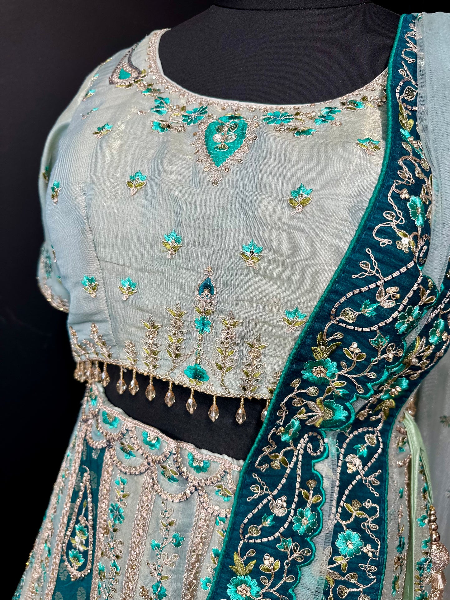 Tashan lehenga curvy & normal