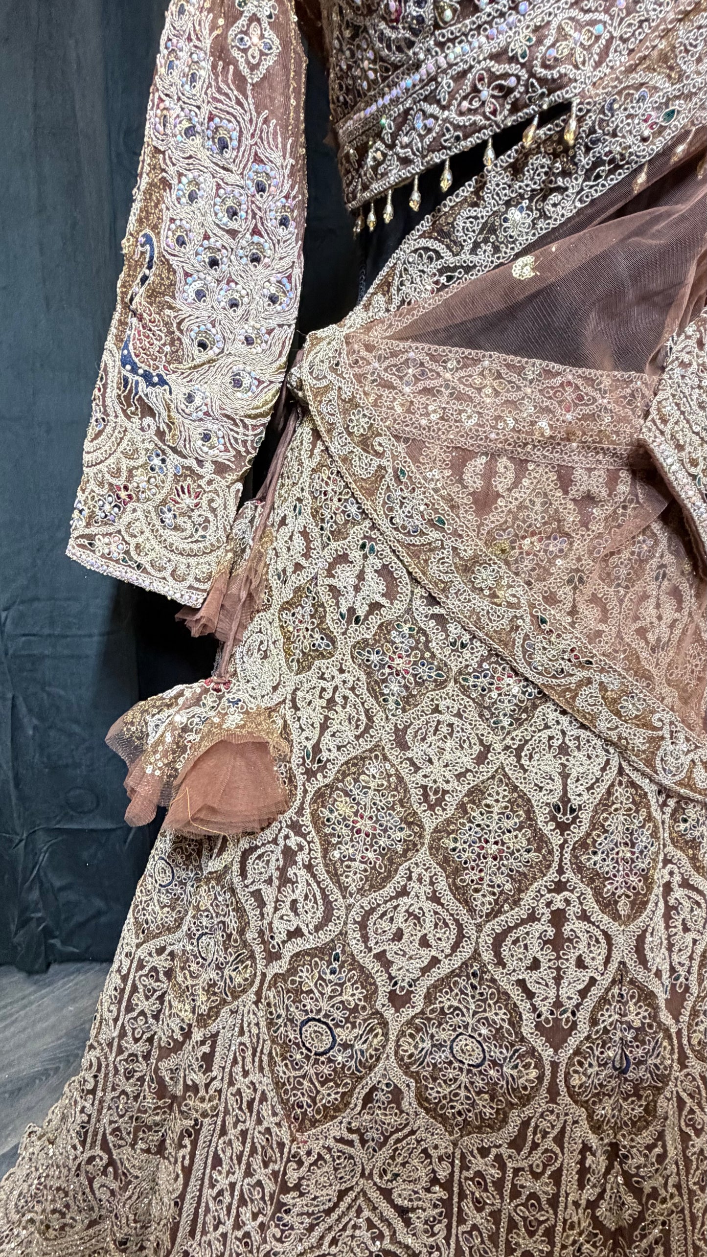 Nude Champagne Party Wear Lehenga met Luxe Embroidery