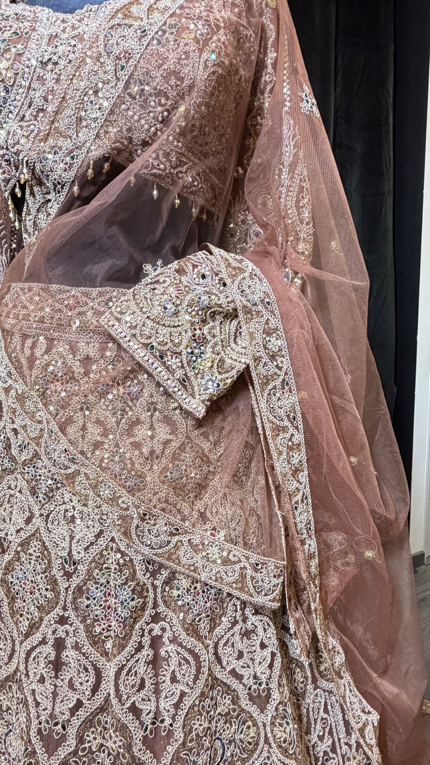 Nude Champagne Party Wear Lehenga met Luxe Embroidery