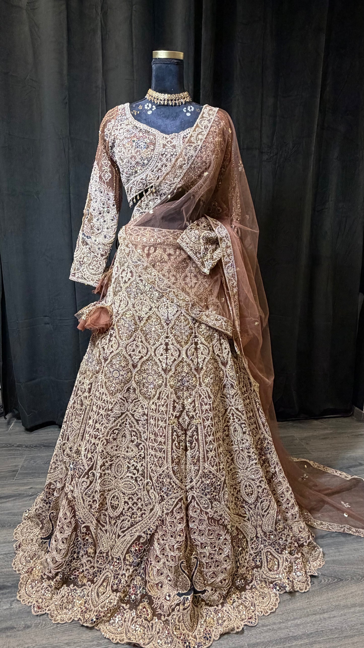 Nude Champagne Party Wear Lehenga met Luxe Embroidery