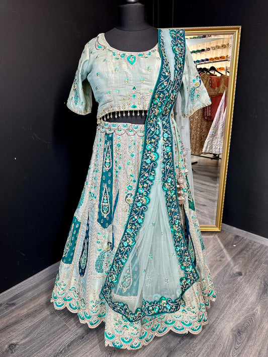 Tashan lehenga curvy & normal