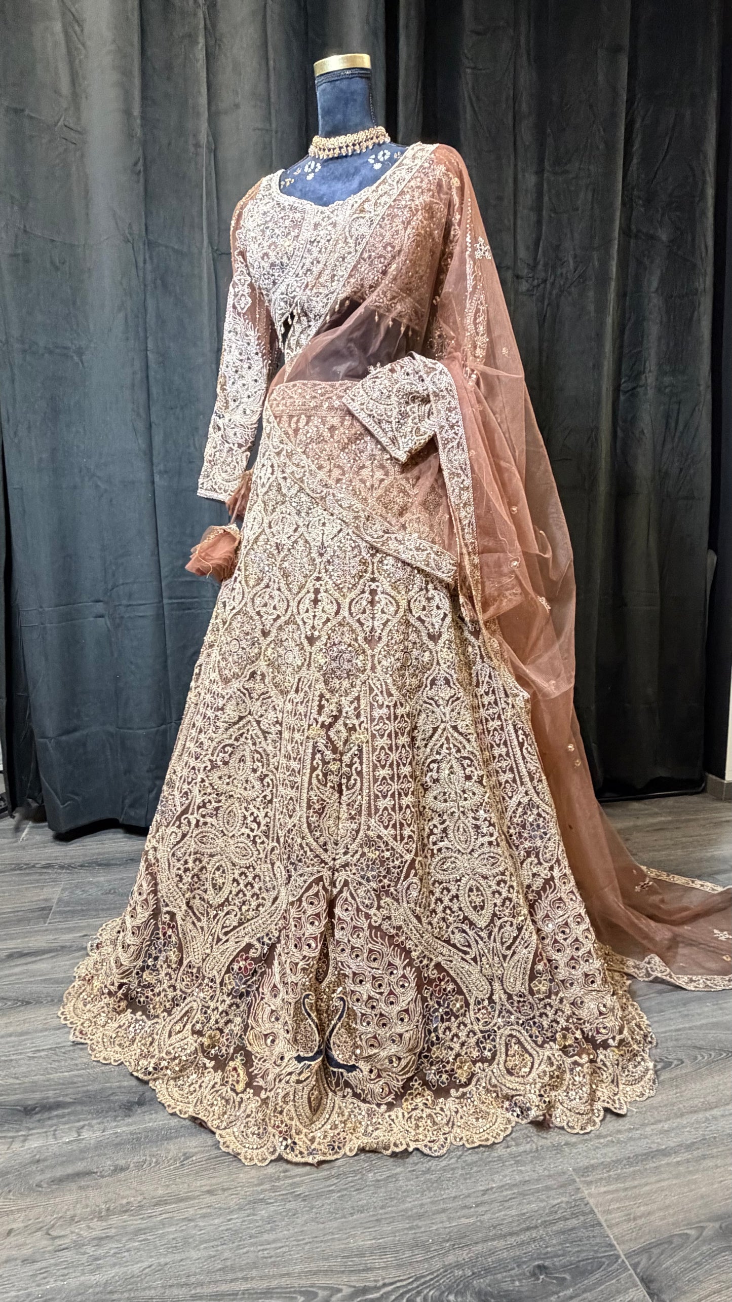 Nude Champagne Party Wear Lehenga met Luxe Embroidery