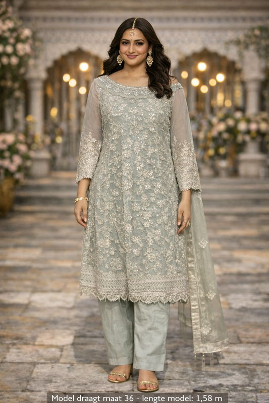 Zilvergrijze set met broek